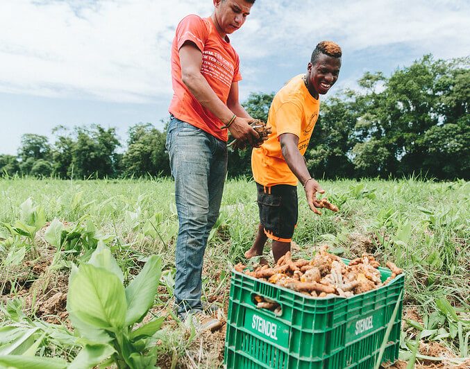 Global Citizen Year Fellowship participant working on a farm