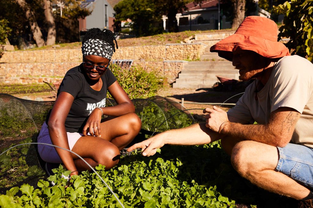 Students working in a garden at Tilting Futures gap year immersive learning program