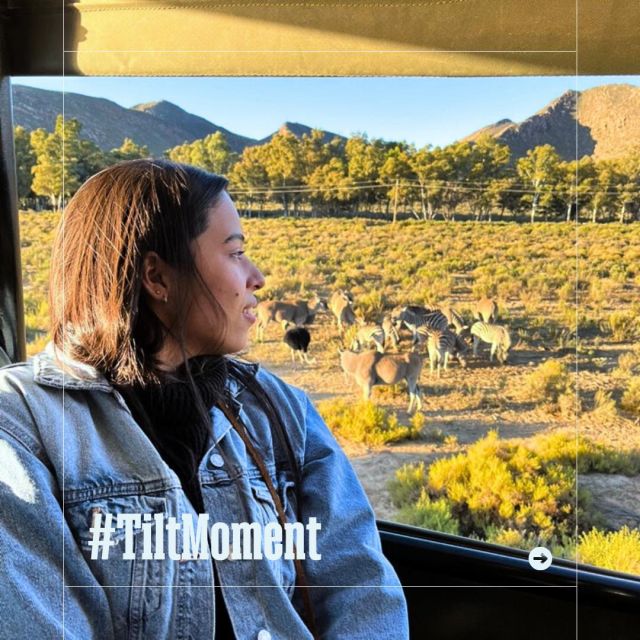 To celebrate the launch of #TiltingFutures, we’ve asked our #TakeActionLab students to share a #TiltMoment, an experience that broadened their worldview or positively changed their life path in some way. 

Ana Laura Silva shared that her #TiltMoment came when she went on safari for the first time.

Do you have a #TiltMoment? Share with us in the comments!
