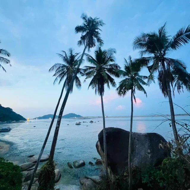 Nature through their lens: Part 3 📸
Earlier this month, our Environment and Sustainability apprentices explored the intricate systems of Penang, Malaysia. 
Today, we are spotlighting a powerful submission in our Infrastructure category that captures the tension between rapid development and ecological preservation.
Winner: Elysé (@kwitonda__)🏗️
Elysé captured a sobering moment during a Malaysian sunrise at a beach transformed by industry. While looking for a natural horizon, they instead found the reality of land reclamation:
"The stench was too much to bear, and the water was dead... there were no waves, just mud. It clearly killed the water and whichever animals lived in it."
Congratulations to Elysé for documenting the uncomfortable realities of a changing coastline and reminding us why systemic environmental advocacy is more urgent than ever. 
🚨 Alert: The August term deadline is this Friday, April 10! Apply through the link in bio!
#TiltingFutures #TakeActionLab #ApplyNow